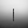 galleryPhoto