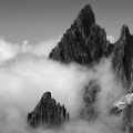 galleryPhoto