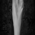 galleryPhoto