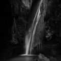 galleryPhoto