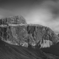 galleryPhoto