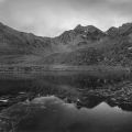 galleryPhoto